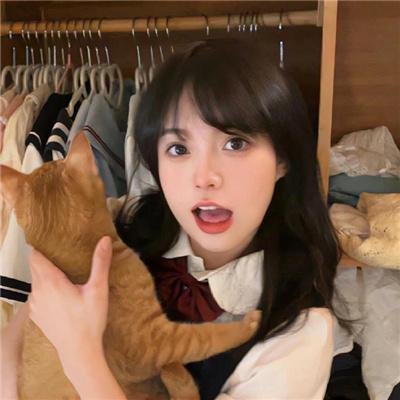十二宫杀手