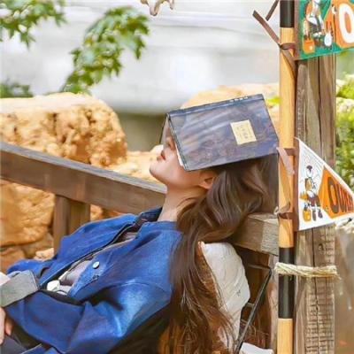 齐姆与友